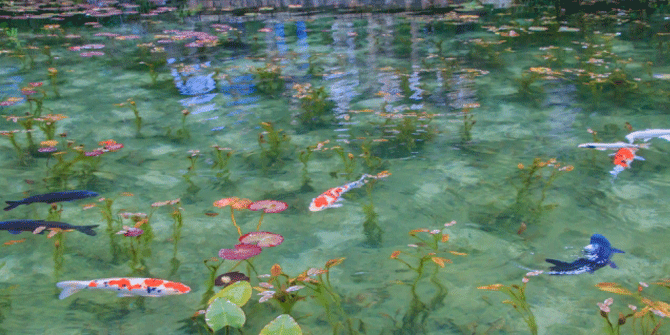 岐阜県のモネの池