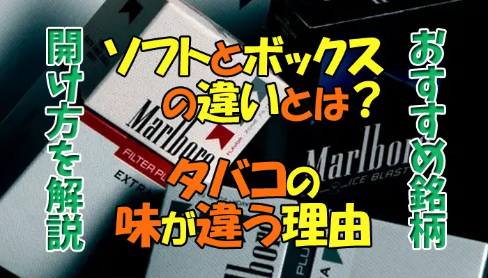 タバコ ソフト ボックス